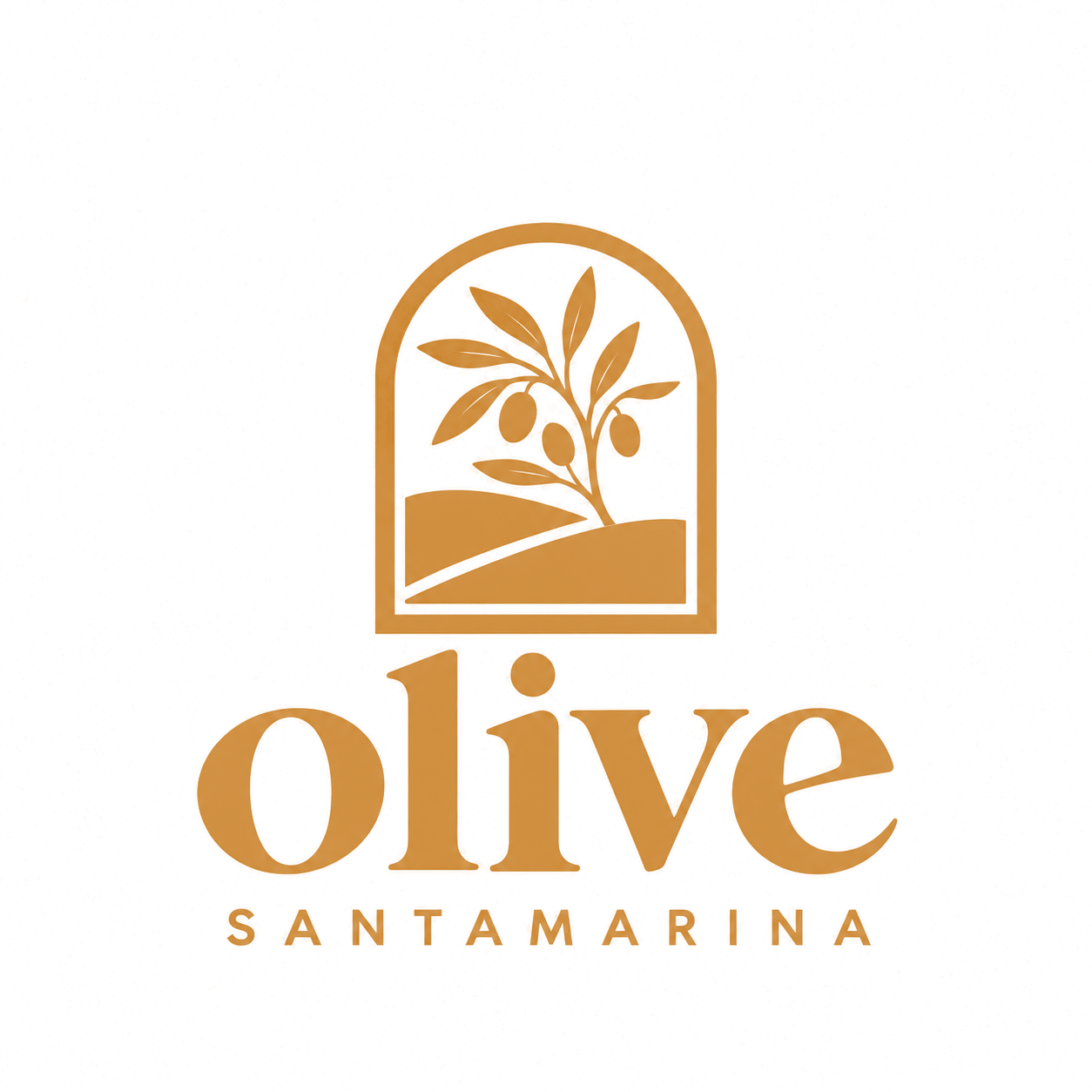 Olive Santa Marina